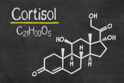 How To Lower Cortisol: Less Stress More Success