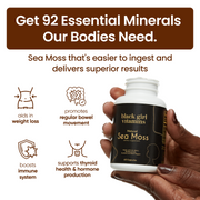 Gut Health Essentials - BLACK FRIDAY