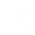 Icon 3