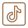 Icons8 Tiktok